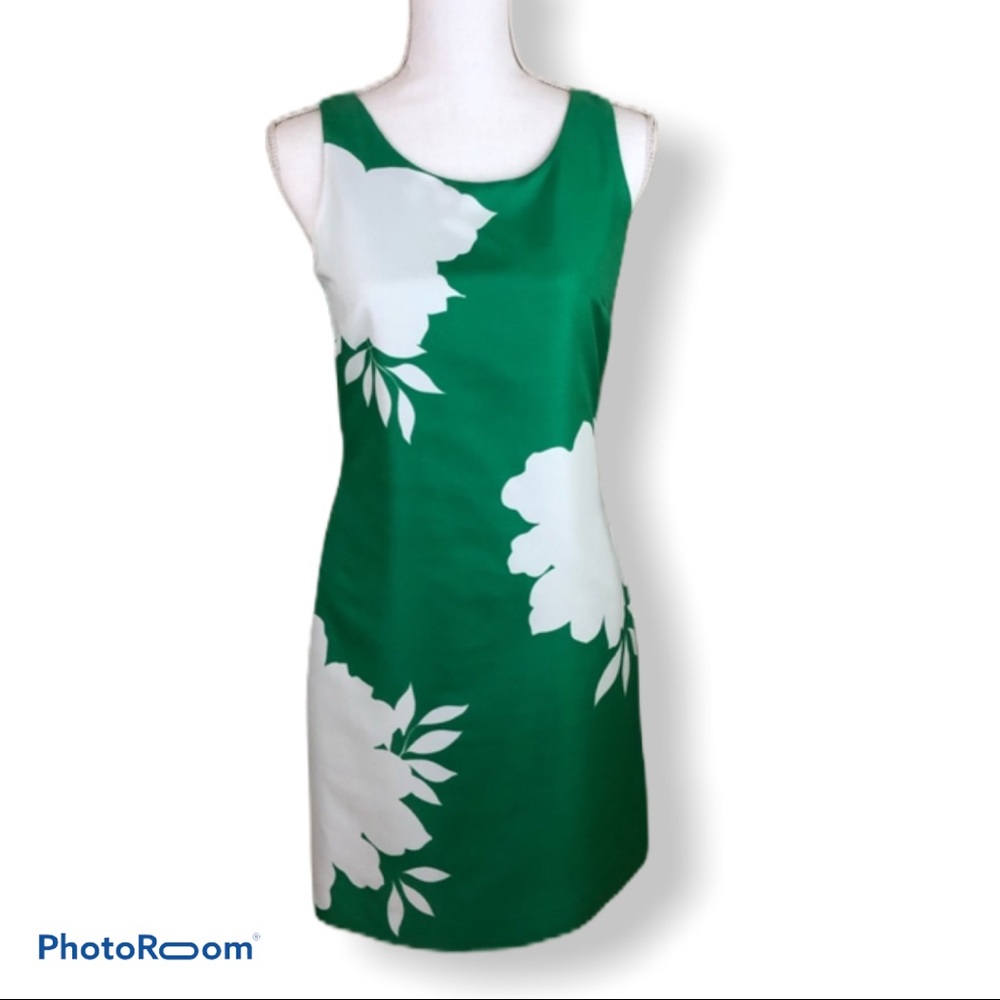 Banana Republic Dress Size 2